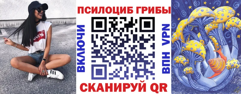 нарко площадка Telegram  Светогорск  Псилоцибиновые грибы Magic Shrooms 