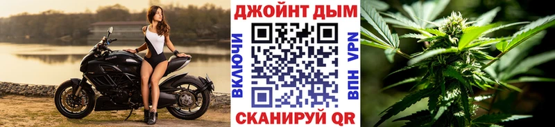 Шишки марихуана Amnesia Светогорск